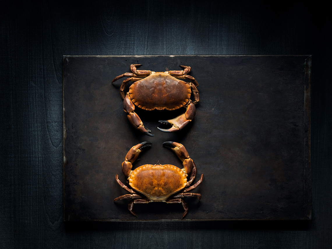 Two crabs top shot on a small plate pot on dark background