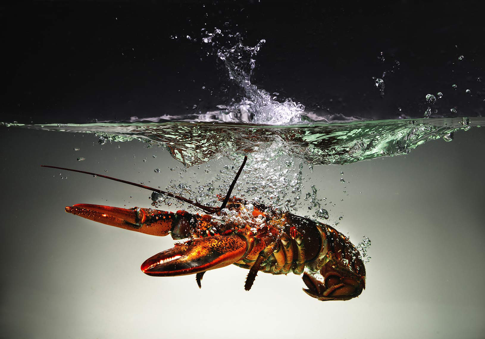 H2O_Cover01_0636