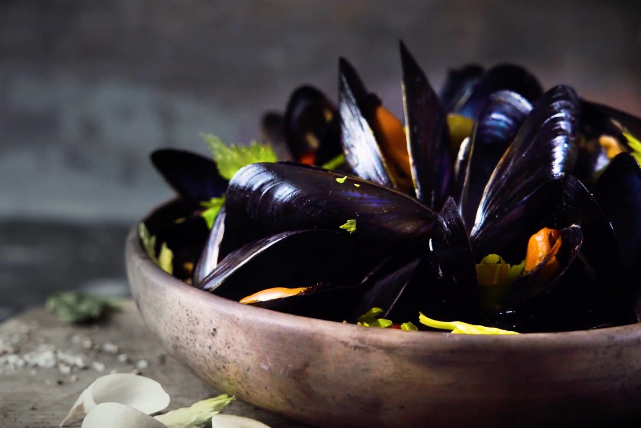 MUSSELS_video