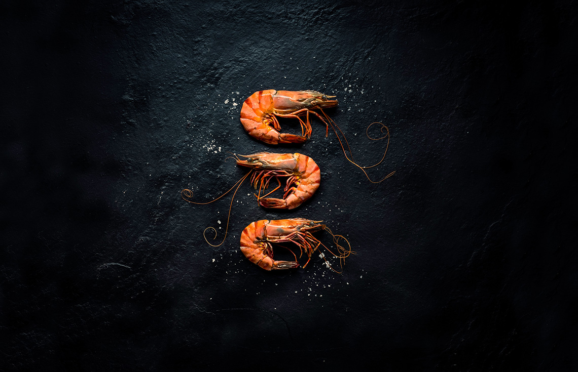 Shrimps graphical shot  on dark or black background