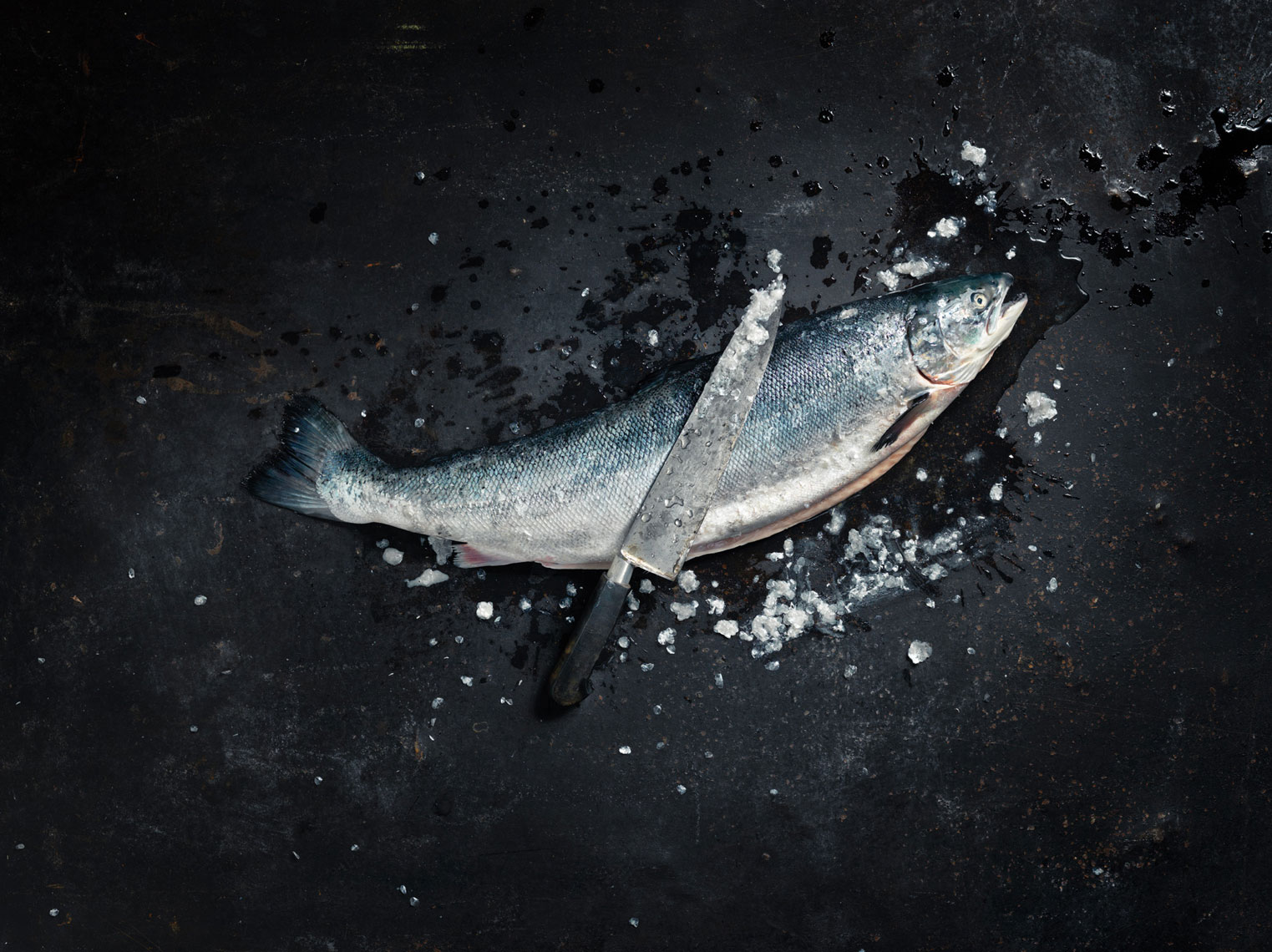 RIIS_Beef_07-14_Fisch0011_01.jpg
