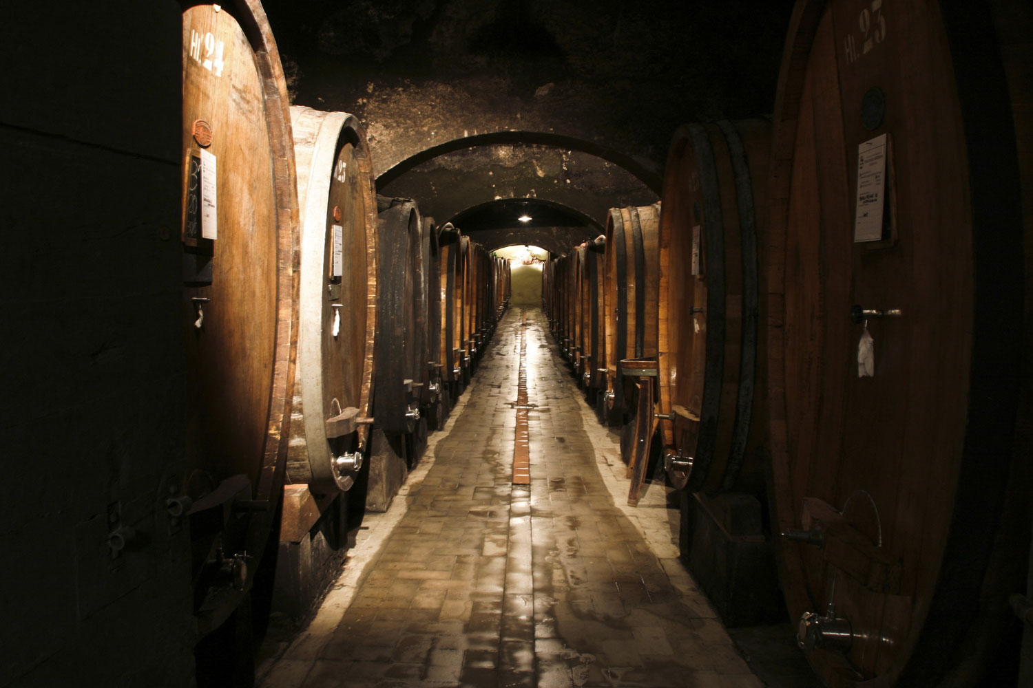 Wine-cellar.jpg