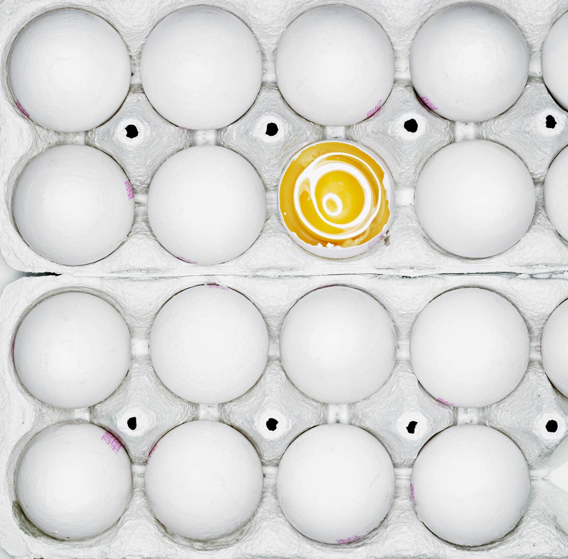 egg-012334.jpg