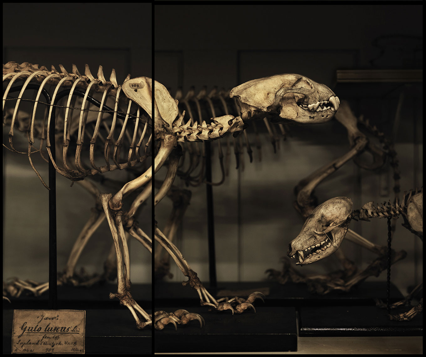 museum_1