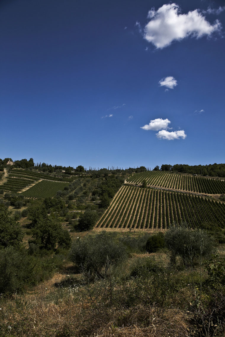 Tuscany landscape Chianti Classico with clouds